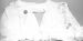 Tyvek Sleeve Protector